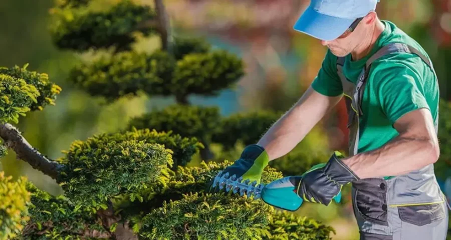 Frilansa som trädgårdsmästare