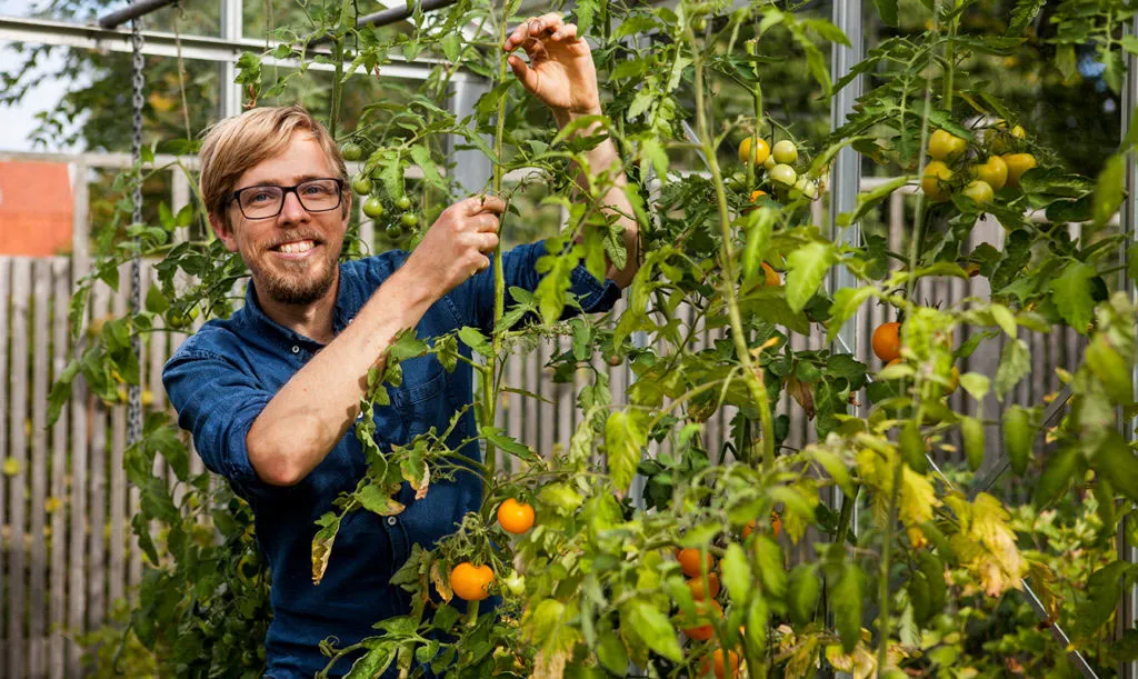  Vad kan du tjäna som trädgårdsmästare?